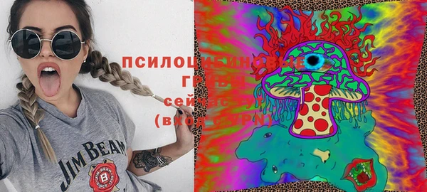 гашик Магас