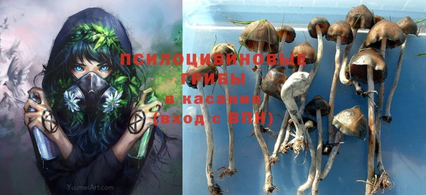 гашик Магас