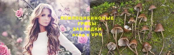 дурь Майский